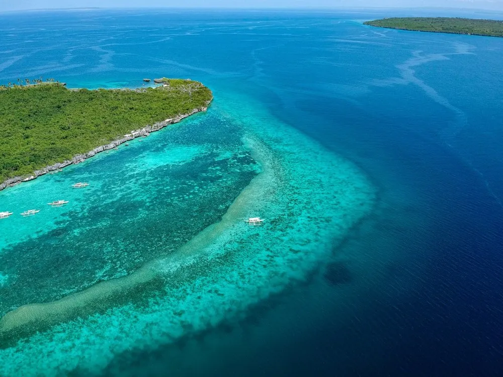 Coral reef and turquoise water in Cebu, Philippines