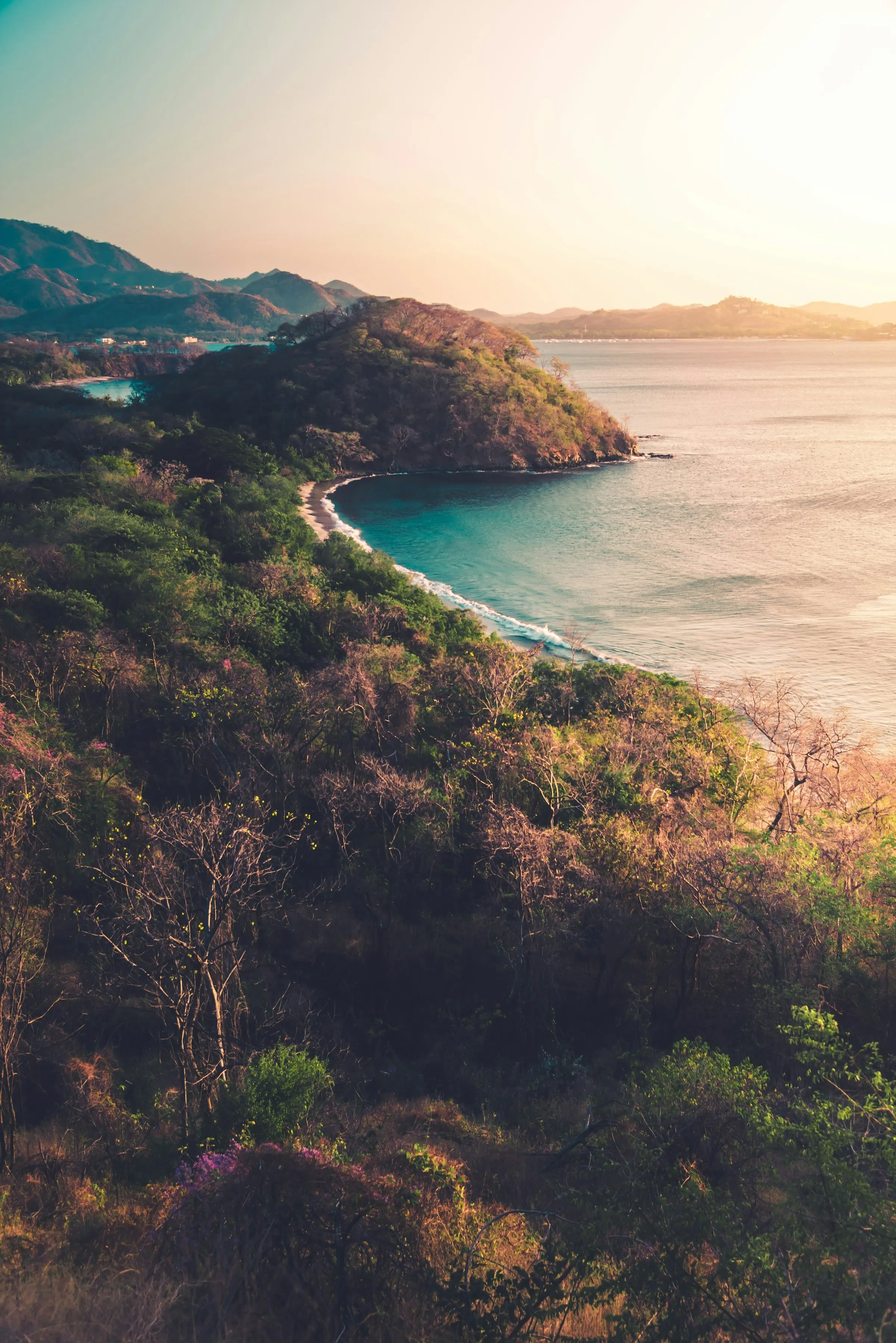 Costa Rica Real Estate
