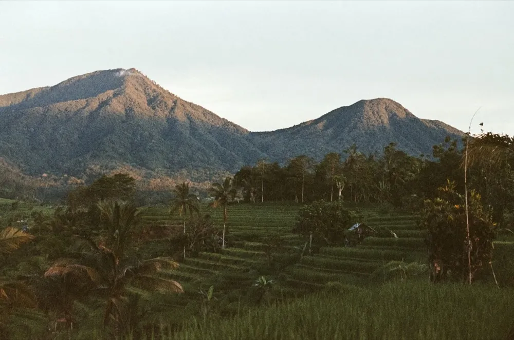 Mountain and rice terrace landscape, Las Terrenas