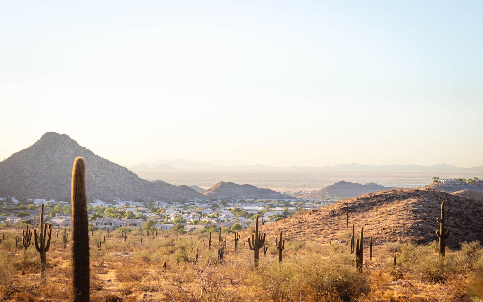 Phoenix Real Estate Investment lifestyle