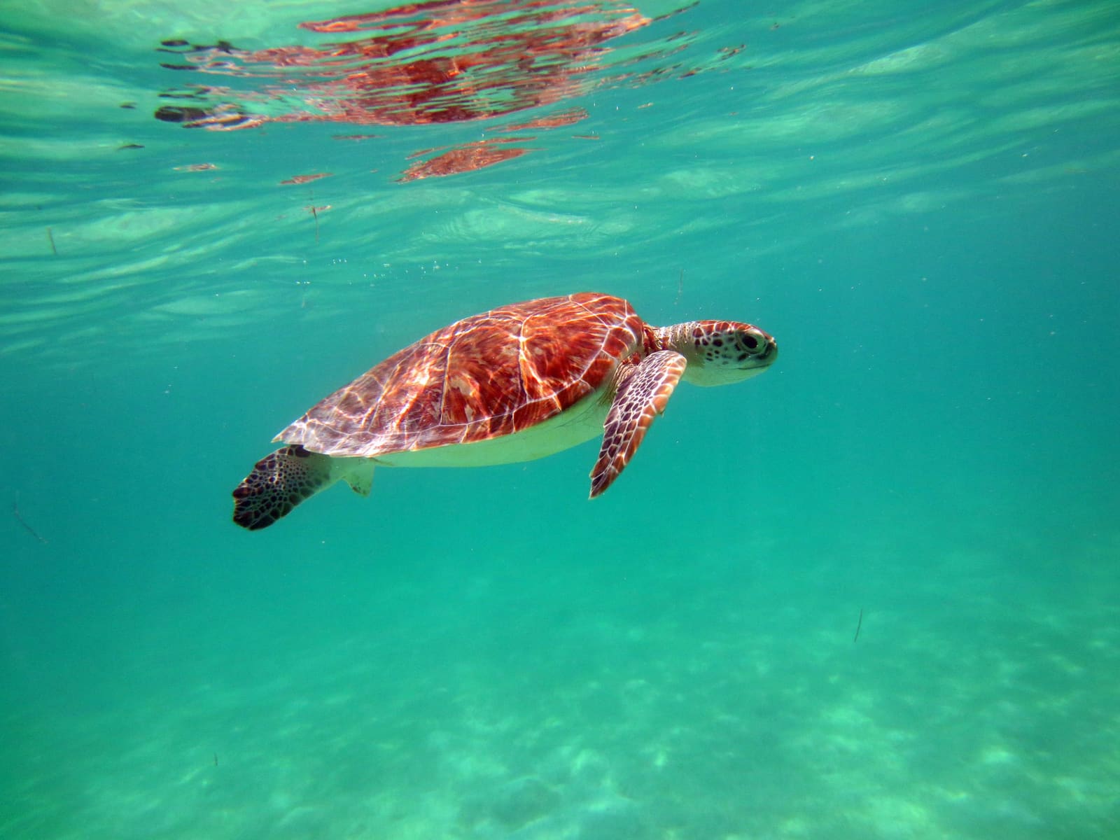 Akumal Real Estate lifestyle