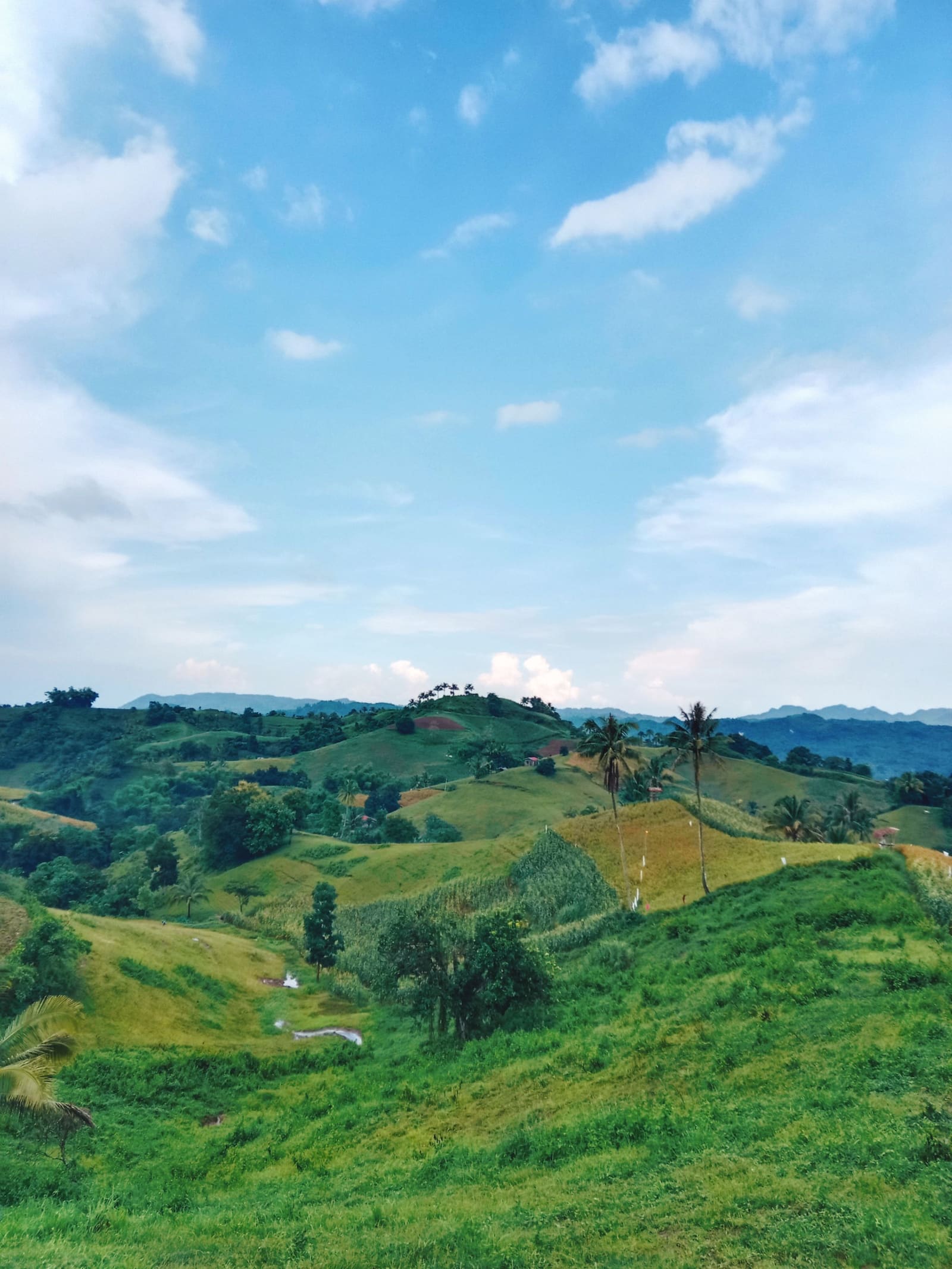 Cebu Real Estate lifestyle